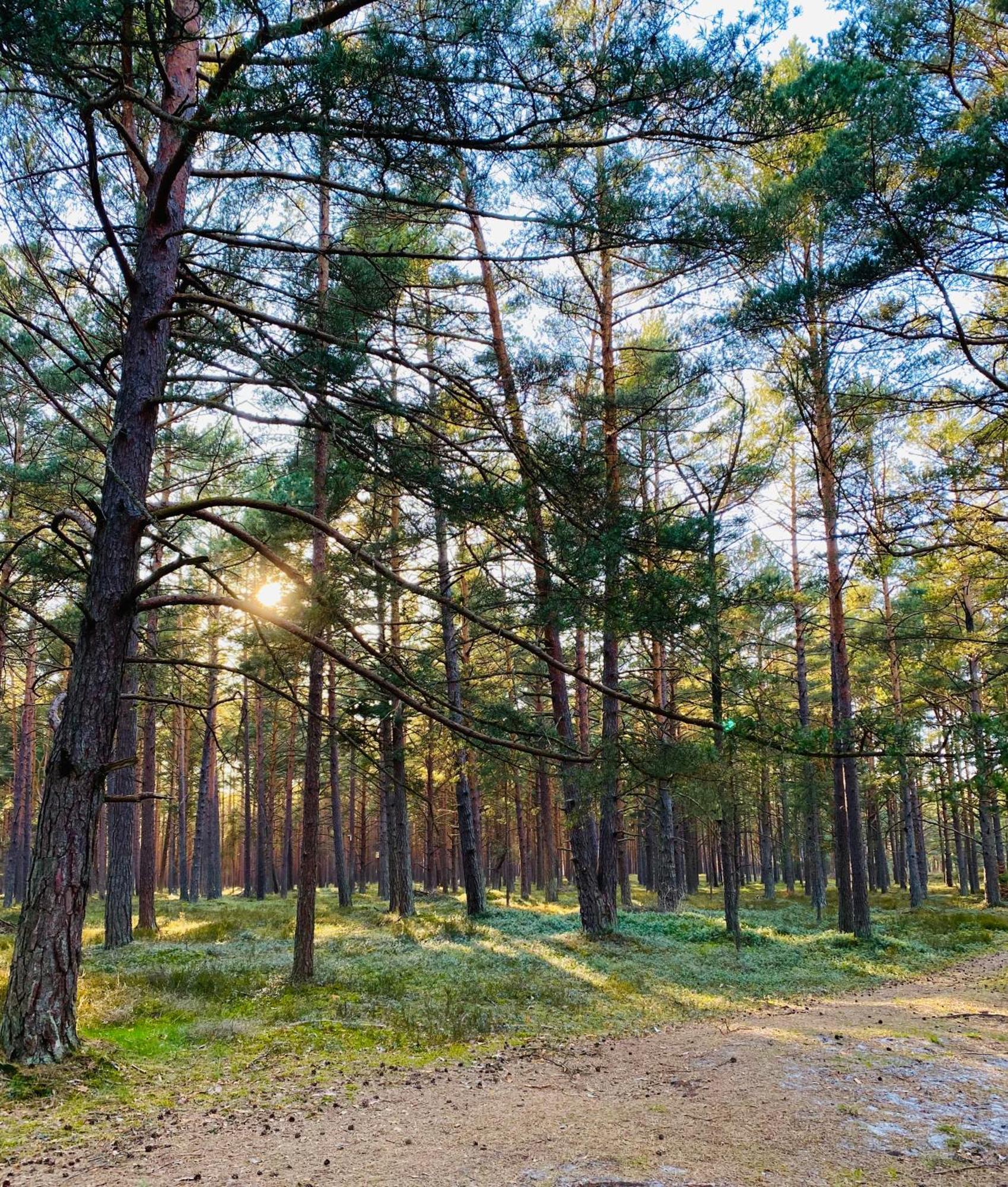Vila Nadmorska Ostoja Lubiatowo Lubiatowo  Exteriér fotografie